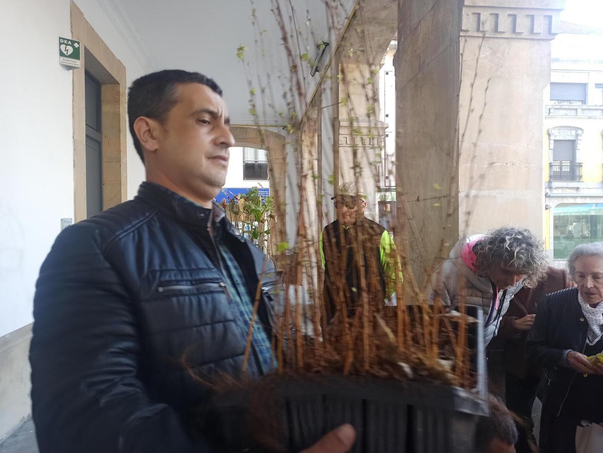 Árboles para la huerta, para cerrar una finca o para replantar en el monte en Siero: así son los usos que dan los vecinos a los plantones repartidos por el Ayuntamiento