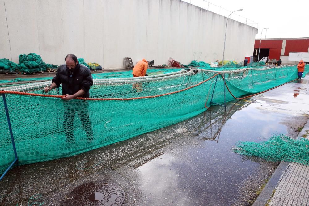 Los rederes de Vigo trabajan bajo la lluvia // Marta G. Brea