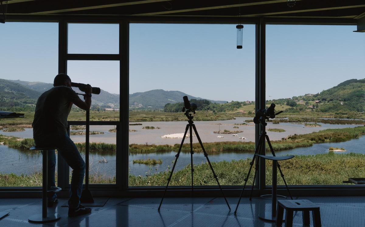 Jose Mari Unamuno, director del Bird Center, observa por un telescopio a varias cigüeñelas en el humdeal.