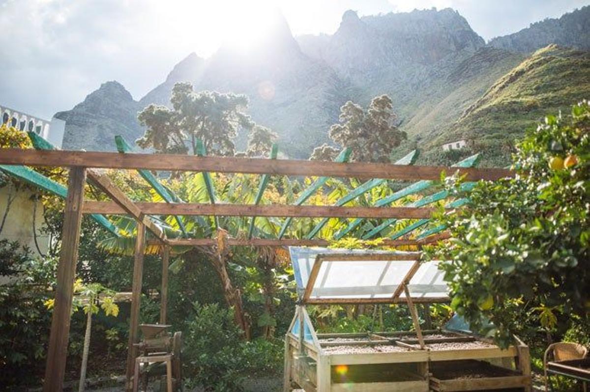 Finca La Laja & Bodega Los Berrazales
