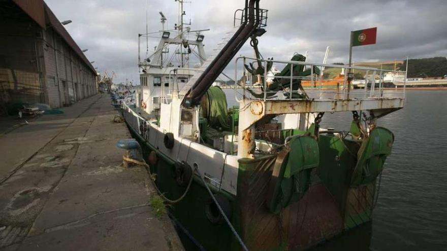 El &#039;Velliño&#039; en el puerto de Avilés.