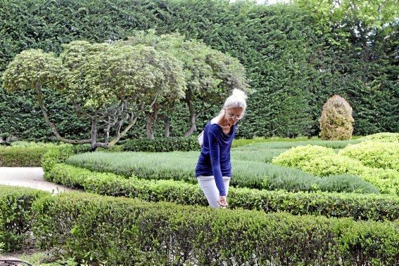 In den Jardines von Marivent: alte Bäume, organische Formschnitte und viel Grün. Ein botanischer Rundgang mit der Gartenarchitektin Erika Könn.