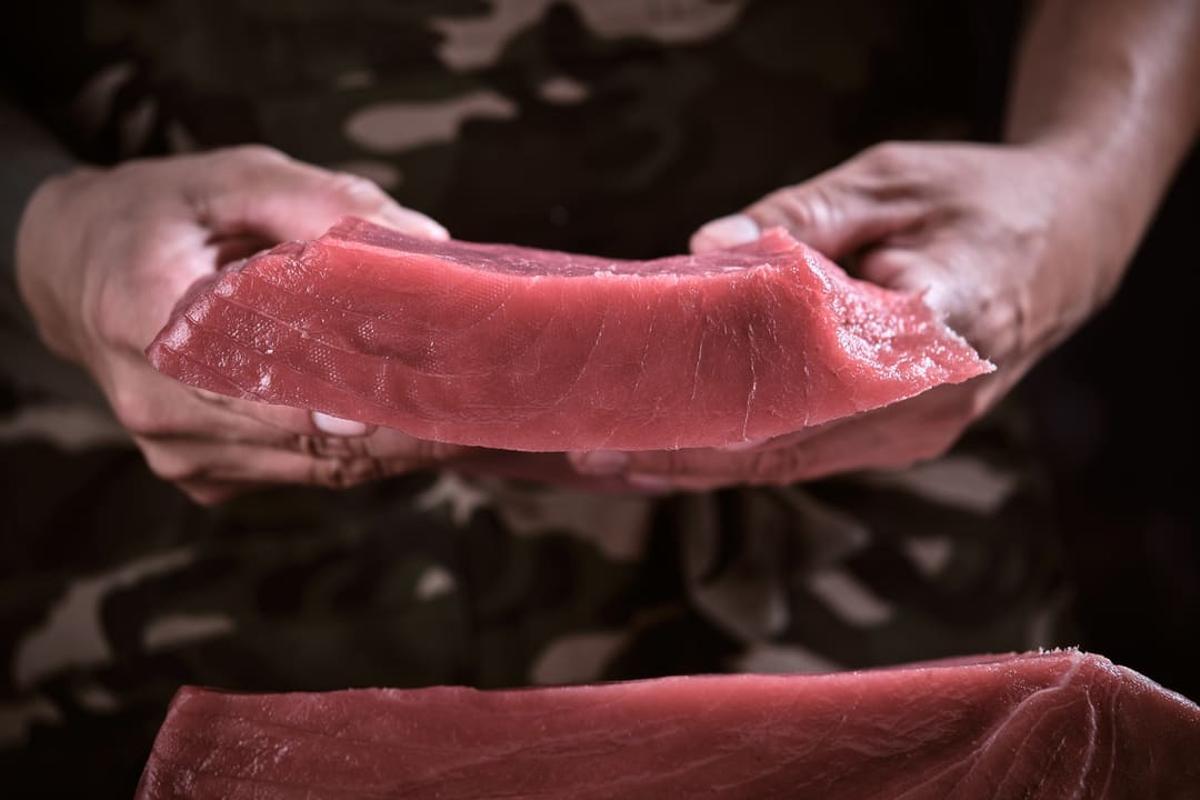 Filete de atún.