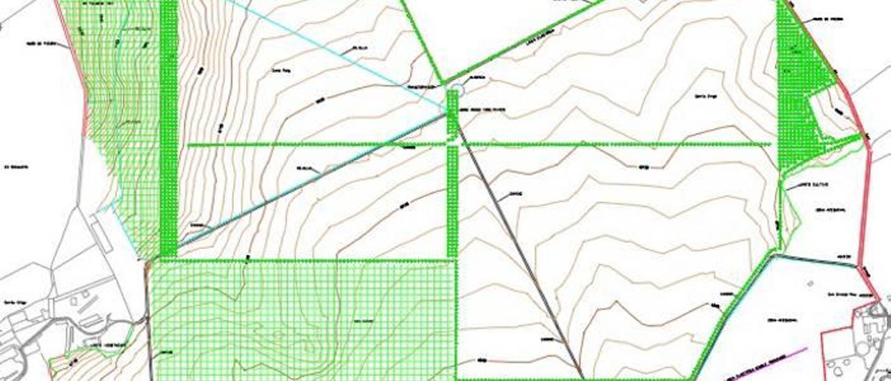 Recreación sobre los planos en verde de las zonas que ocuparían los almendros.