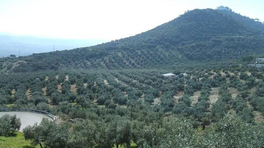 El Consistorio quiere que la Sierra de Aras sea un parque