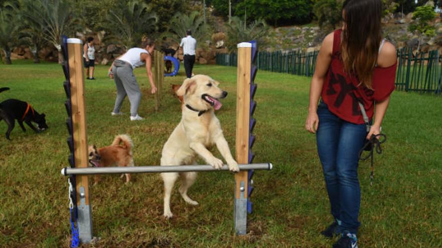 Un parque para perros, en una imagen de archivo.