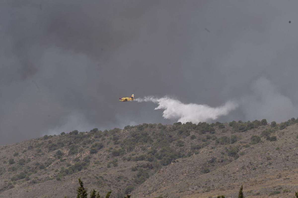 Incendio de Los Gallardos, en imágenes