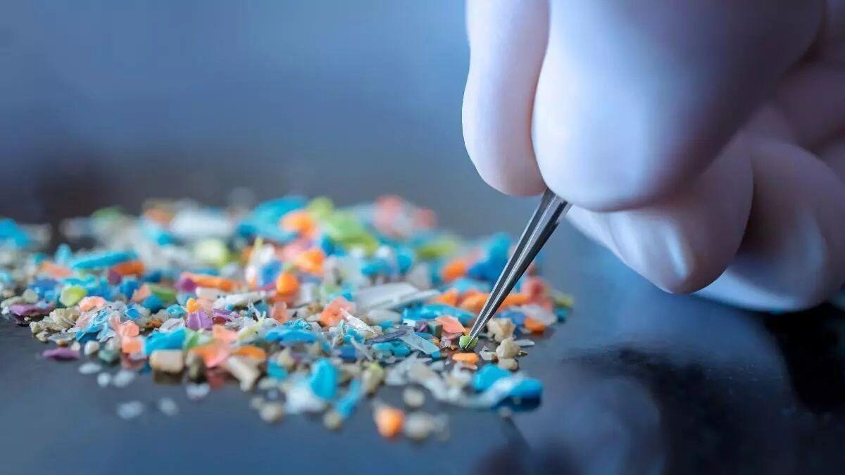 Los microplásticos son partículas de menos de 5 milímetros.