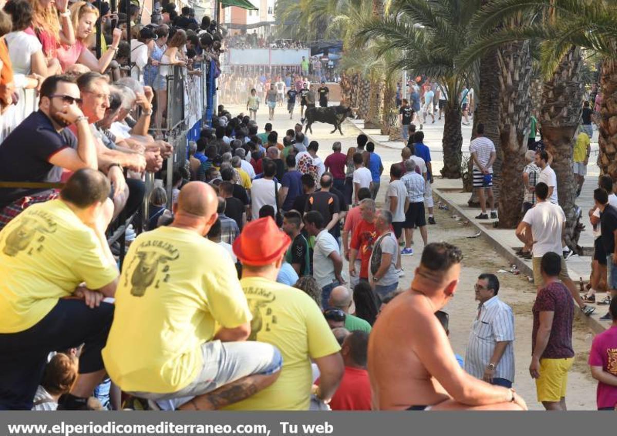 Desfile de peñas y toro fiestas Sant Pere Desfile de peñas y toro fiestas Sant Pere