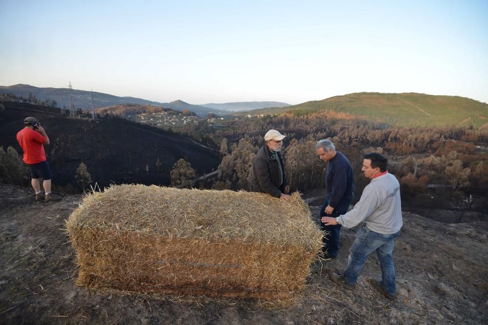 Incendios en Galicia | Paja en Ponte Caldelas