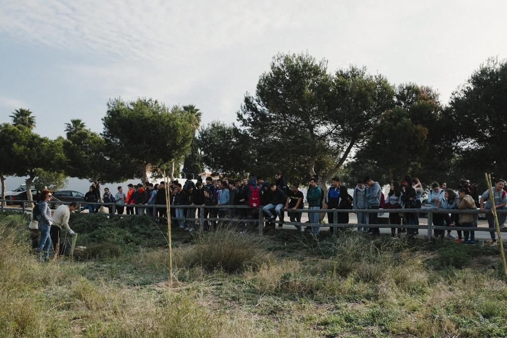 Plantación de especies autóctonas de alumnos del IES Mare Nostrum el día del arbol en el parque natural de las lagunas