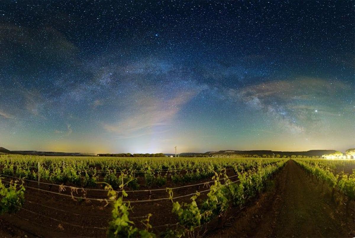 Abadía Retuerta LeDomaine