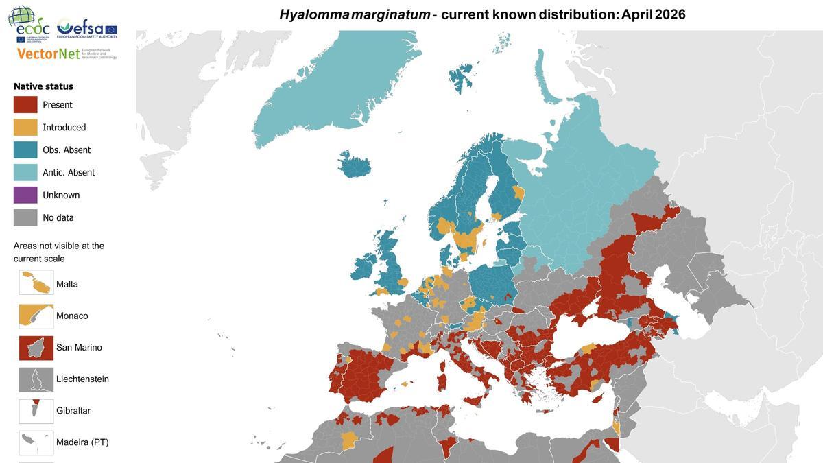Mapa de la distribución actual conocida de 'Hyalomma marginatum': abril de 2026.