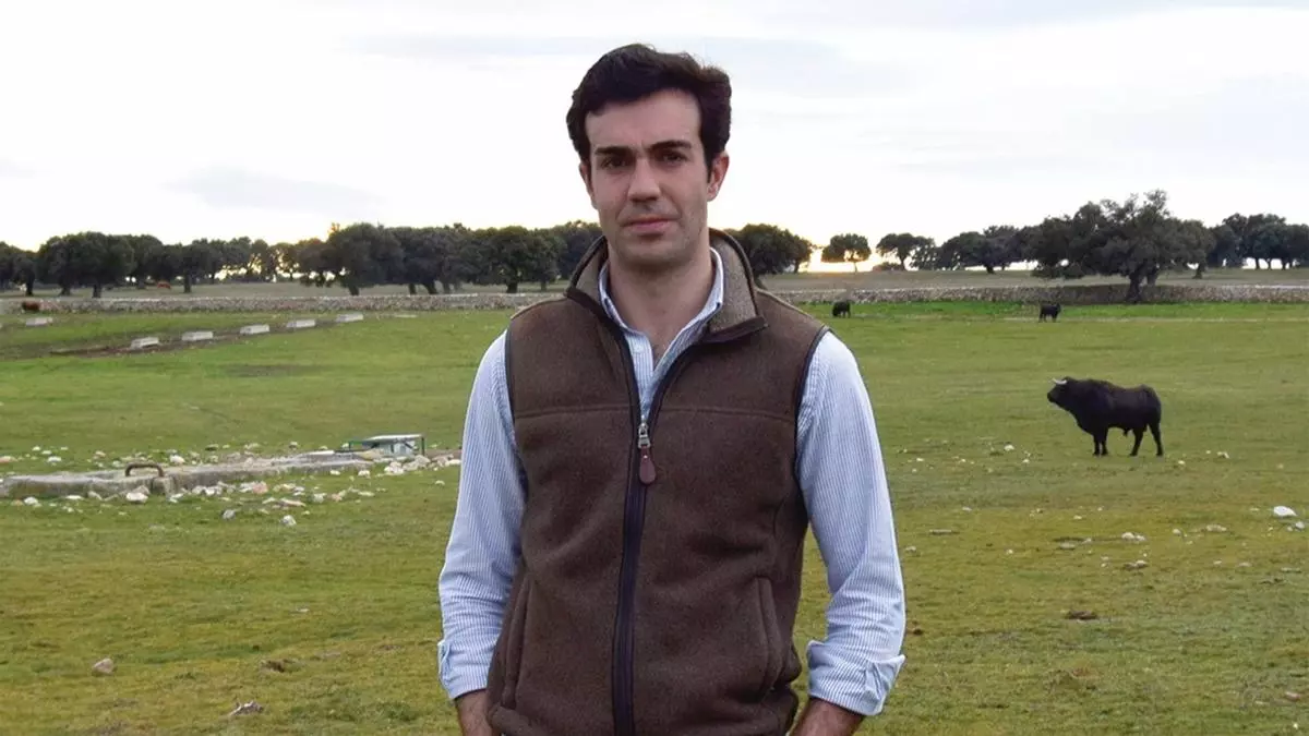 Tomás Rufo regresa a las Fallas: "Tengo que dominar mi mente antes que al toro"
