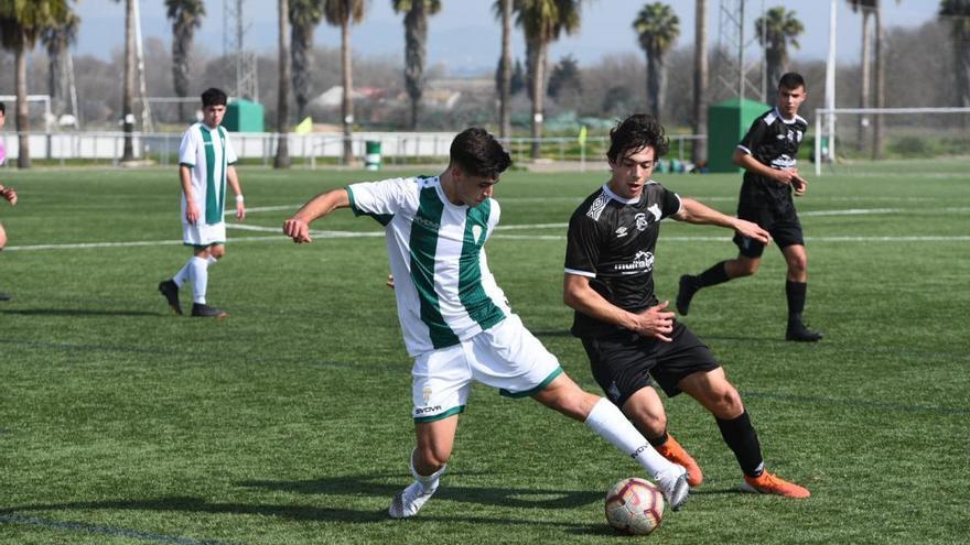 El Córdoba CF pretende confirmar su mejoría contra el Real Betis