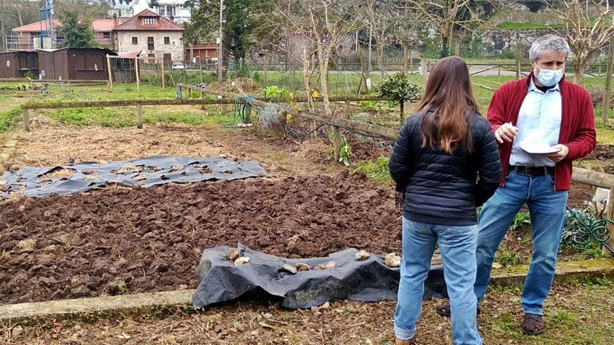 Llanes mantiene abierto el plazo para solicitar los huertos urbanos