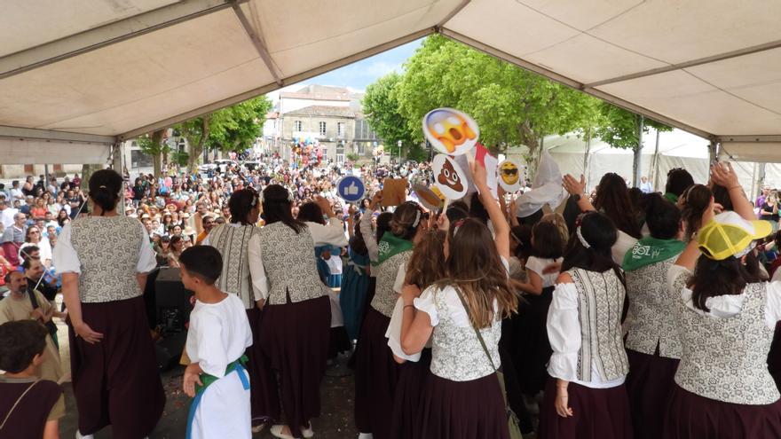Allariz celebra otra edición de la Festa do Boi