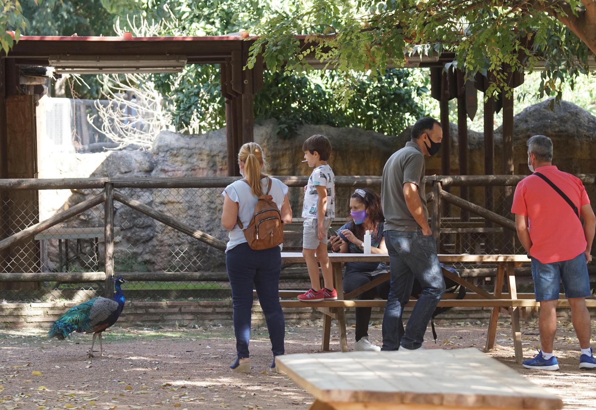 Día festivo en el Zoológico de Córdoba