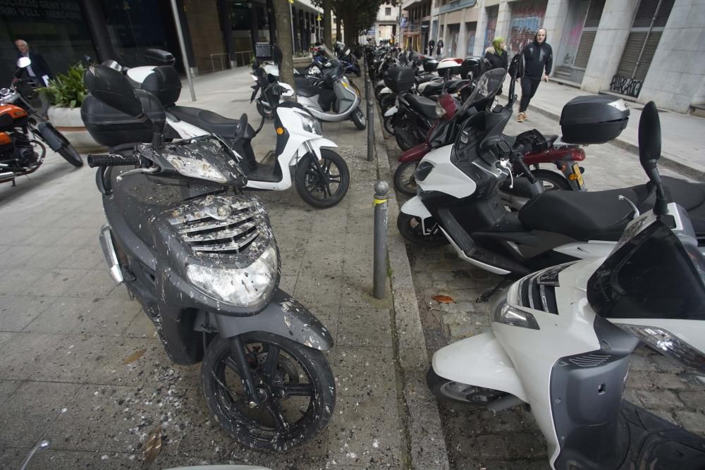 Excrements d'ocells al carrer Cristòfol Grober