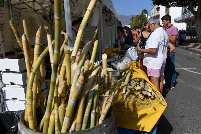 FERIA DEL SURESTE