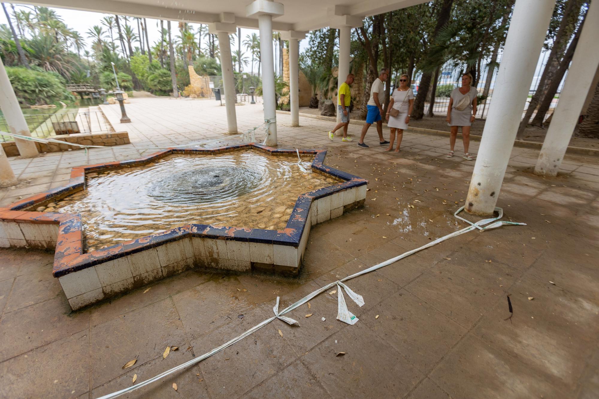 El abandono del Parque El Palmeral de Alicante