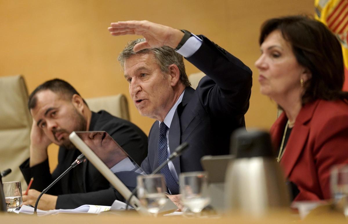 Alberto Núñez Feijóo, durante su comparecencia en la comisión de investigación de la Dana en Valencia