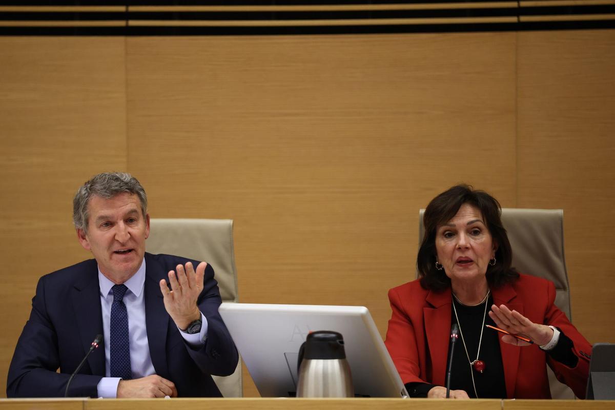 El presidente del PP, Alberto Núñez Feijóo, y la presidenta de la comisión, Carmen Martínez, en la sesión de este lunes en el Congreso.