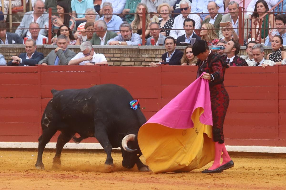 Última corrida de abono de la Feria Taurina de Córdoba, en imágenes Última corrida de abono de la Feria Taurina de Córdoba, en imágenes