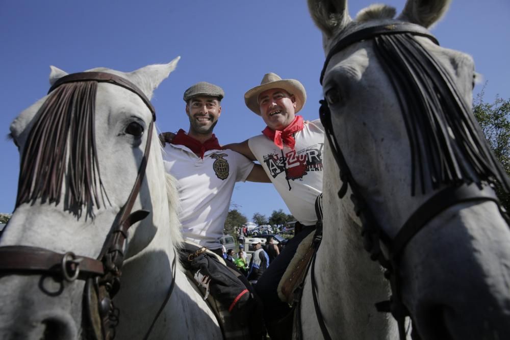 Fiesta del Asturcón en el Sueve