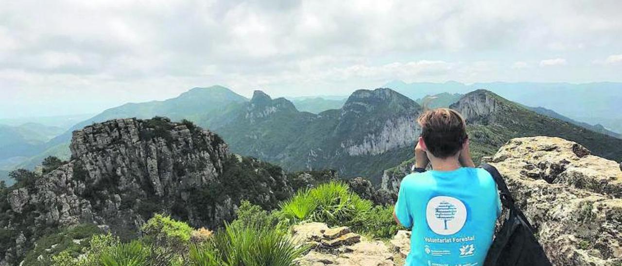 Un voluntario ambiental vigila las montañas de la sierra en una imagen del pasado verano. | LEVANTE-EMV