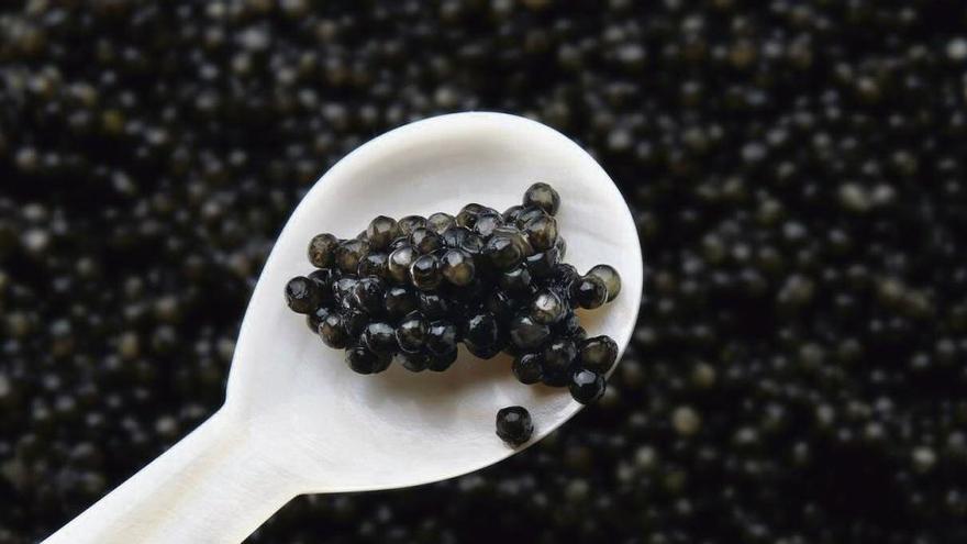 Caviar: luxós i afrodisíac