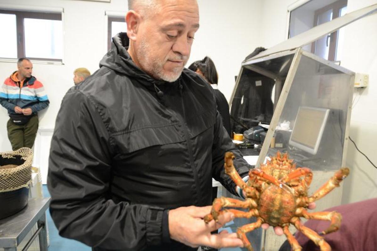 Una compradora examina ayer la centolla en la lonja de Cangas. | /GN