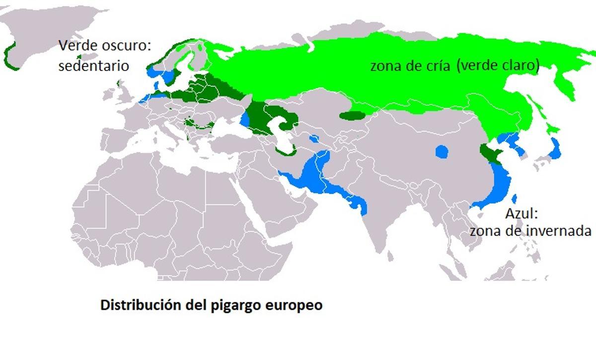 El gran pigargo europeo volverá a volar en España