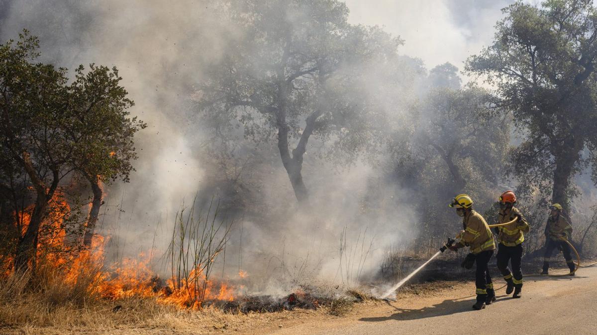 Uns bombers treballen en un dels focus de l’incendi a la localitat de Calonge. | DAVID BORRAT / EFE