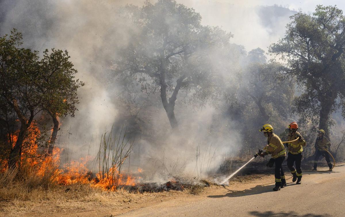 Una eina que mesura la humitat permetrà anticipar el risc d’incendi