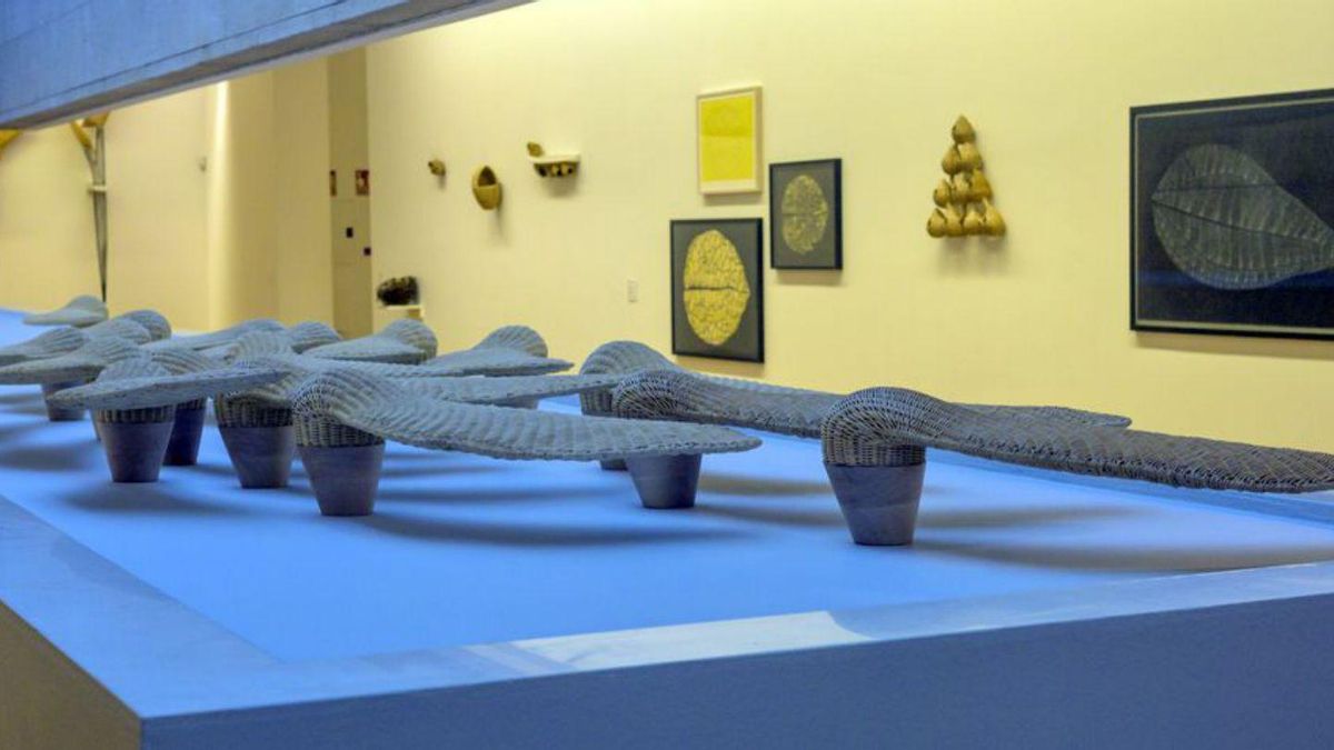 Exposición «Savia y sangre» de Laura Lio en el MARCO de Vigo.