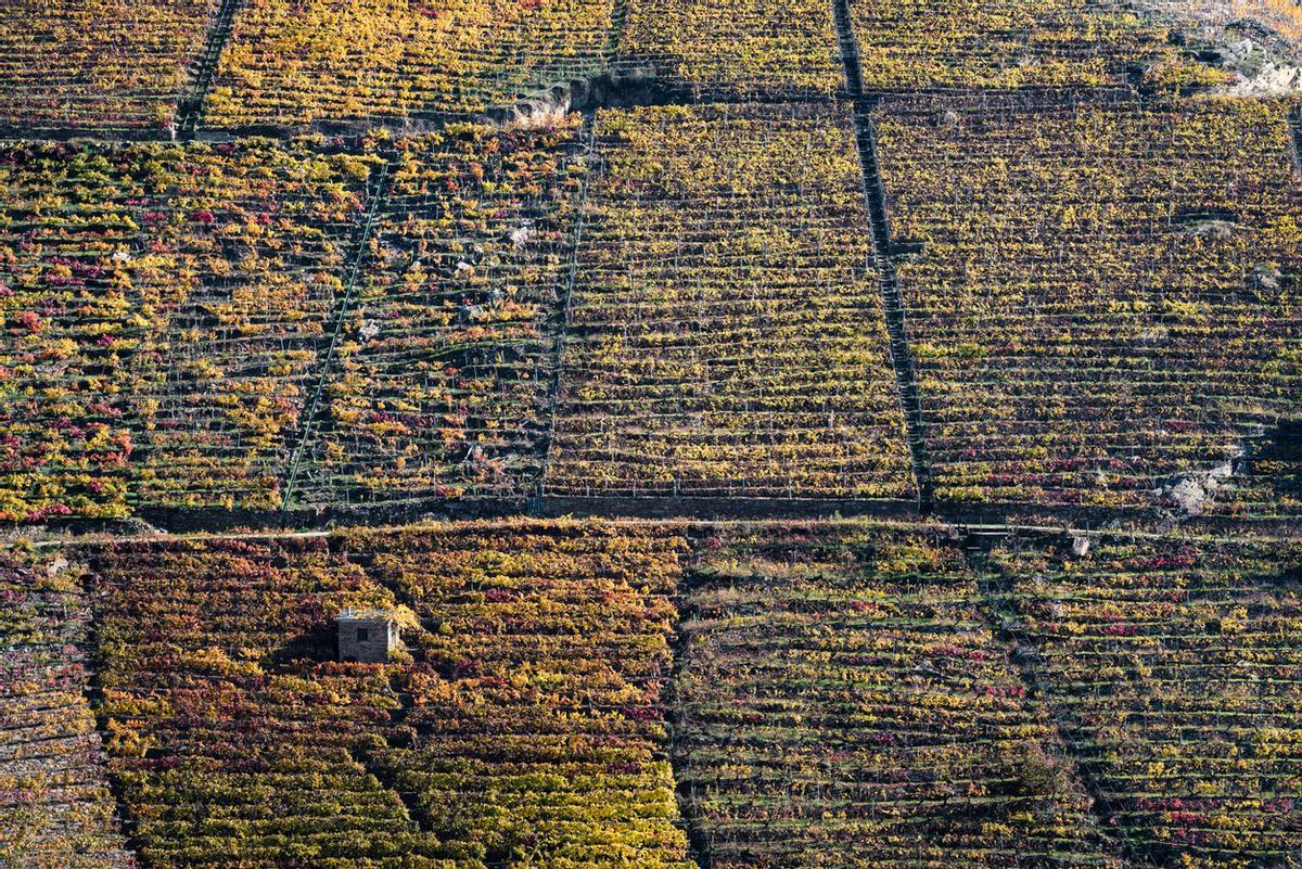 Viñedos de Sober, Ribeira Sacra