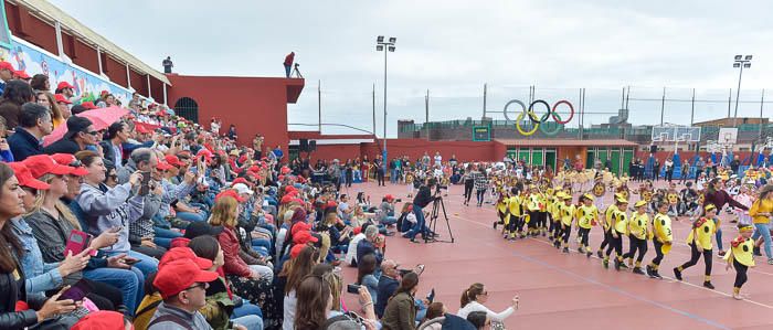 Olimpiadas Colegio Arenas (Los Tarahales)