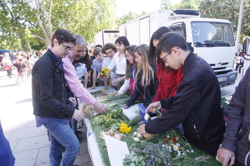 Uns 300 infants fan de paradistes per un dia al Mercat del Lleó