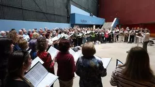 Una decena de coros cantará en Pontevedra poemas de Manuel María, Rosalía o Celso Emilio Ferreiro: así son los ensayos