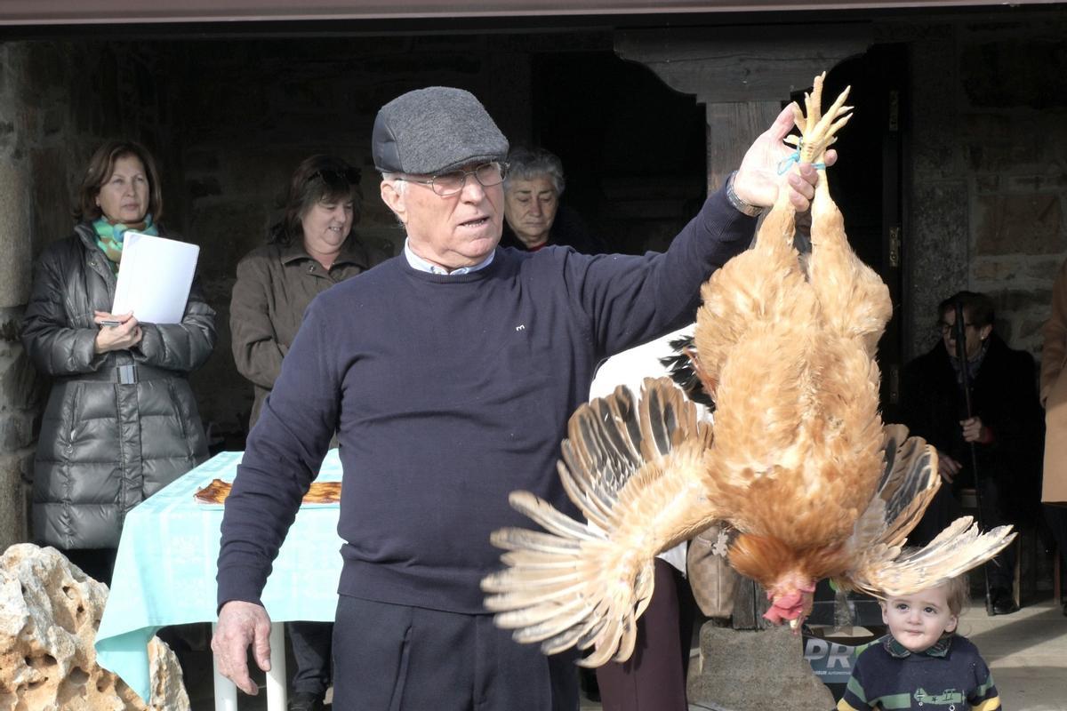 San Antón "triunfa" en San Vitero