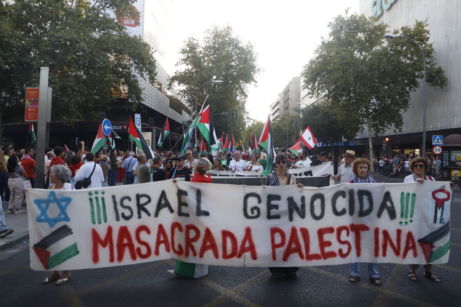 La manifestación por Palestina, en imágenes