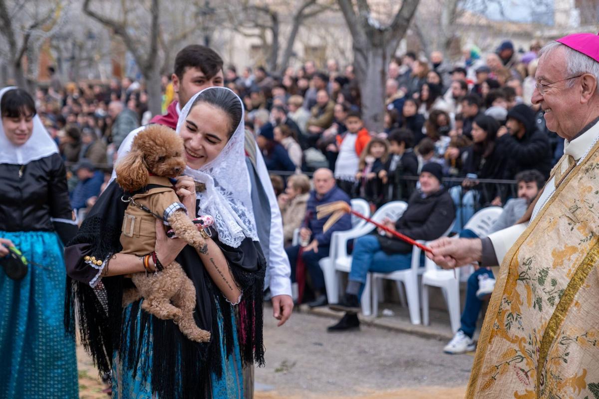 So eindrucksvoll waren die Tiersegnungen zu Sant Antoni 2026 in Muro