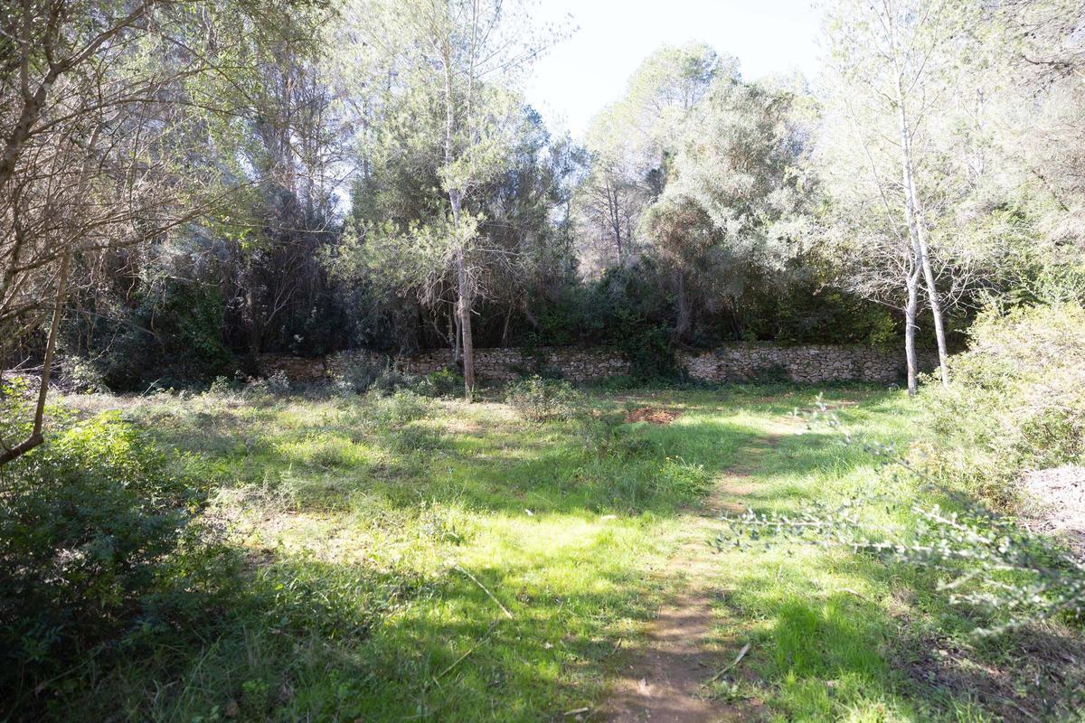 Imágenes de sa Fontassa y el río de Santa Eulària Imágenes de sa Fontassa y el río de Santa Eulària
