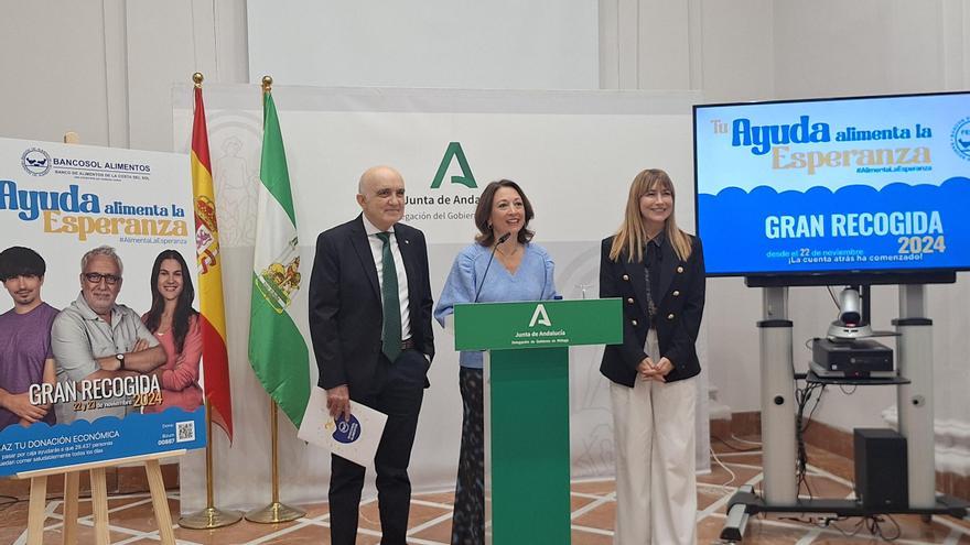 Cuándo será y cómo colaborar con la Gran Recogida de Málaga 2024