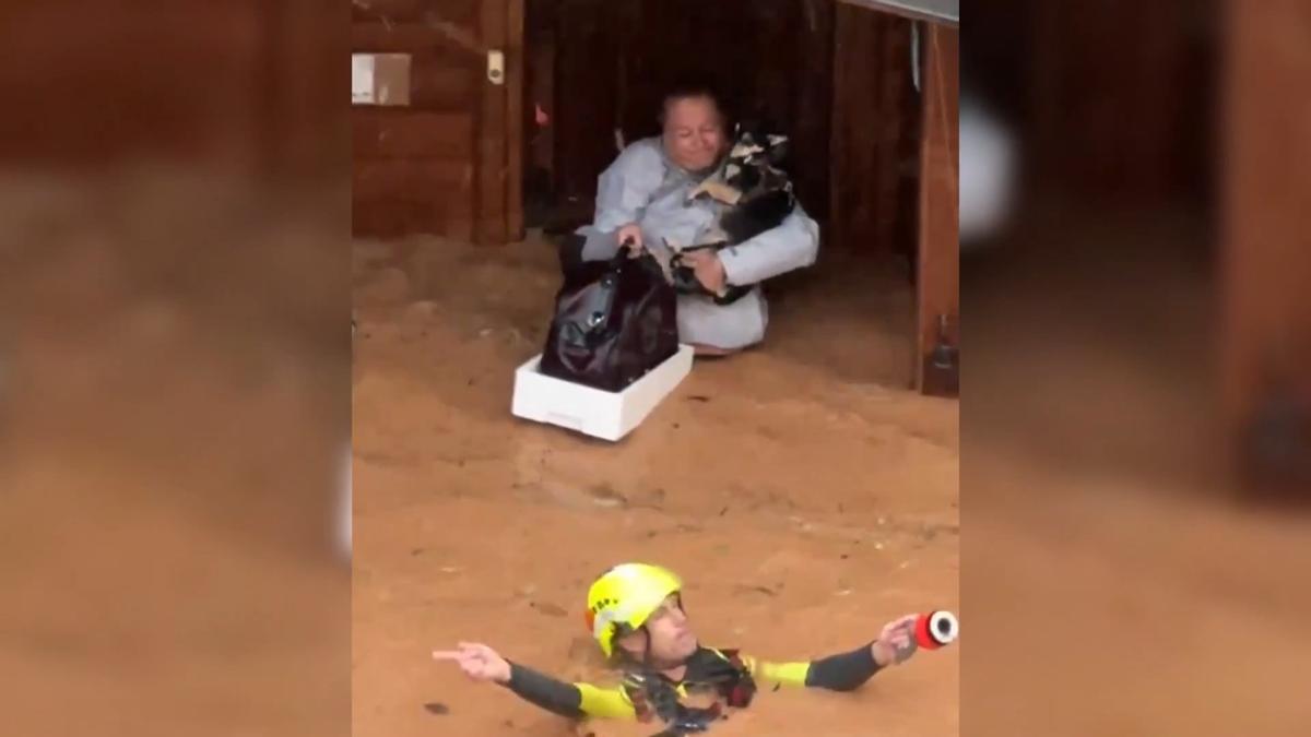 Captura de un video facilitado por la UME del rescate de una mujer con sus mascotas.