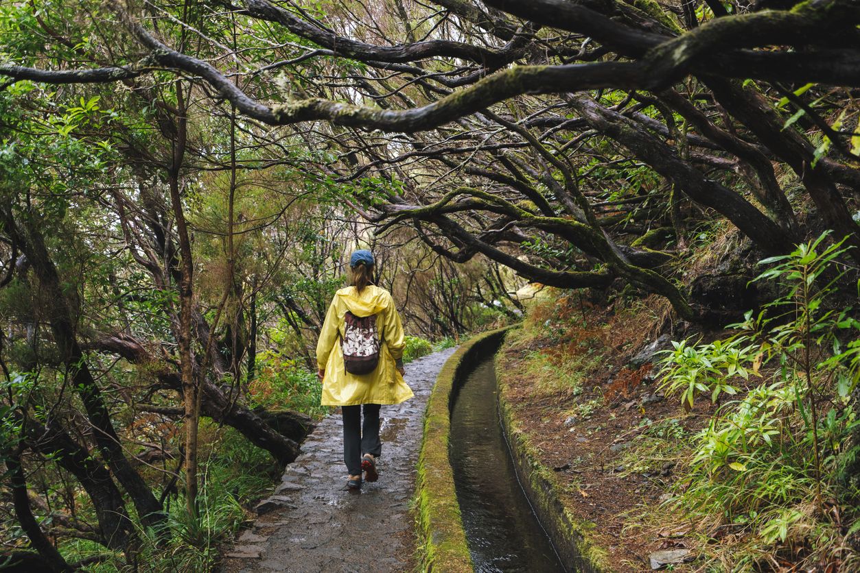 Madeira vive entre altas cumbres desde las que tocar el cielo