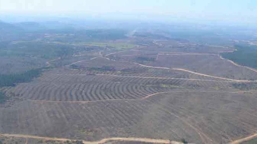 Los Corrillos, de Sejas, tras extraer la madera del incendio de Latedo.