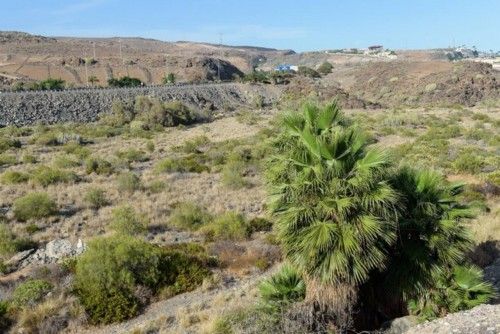 Terrenos en El Veril, donde se va a construir el Siam Park