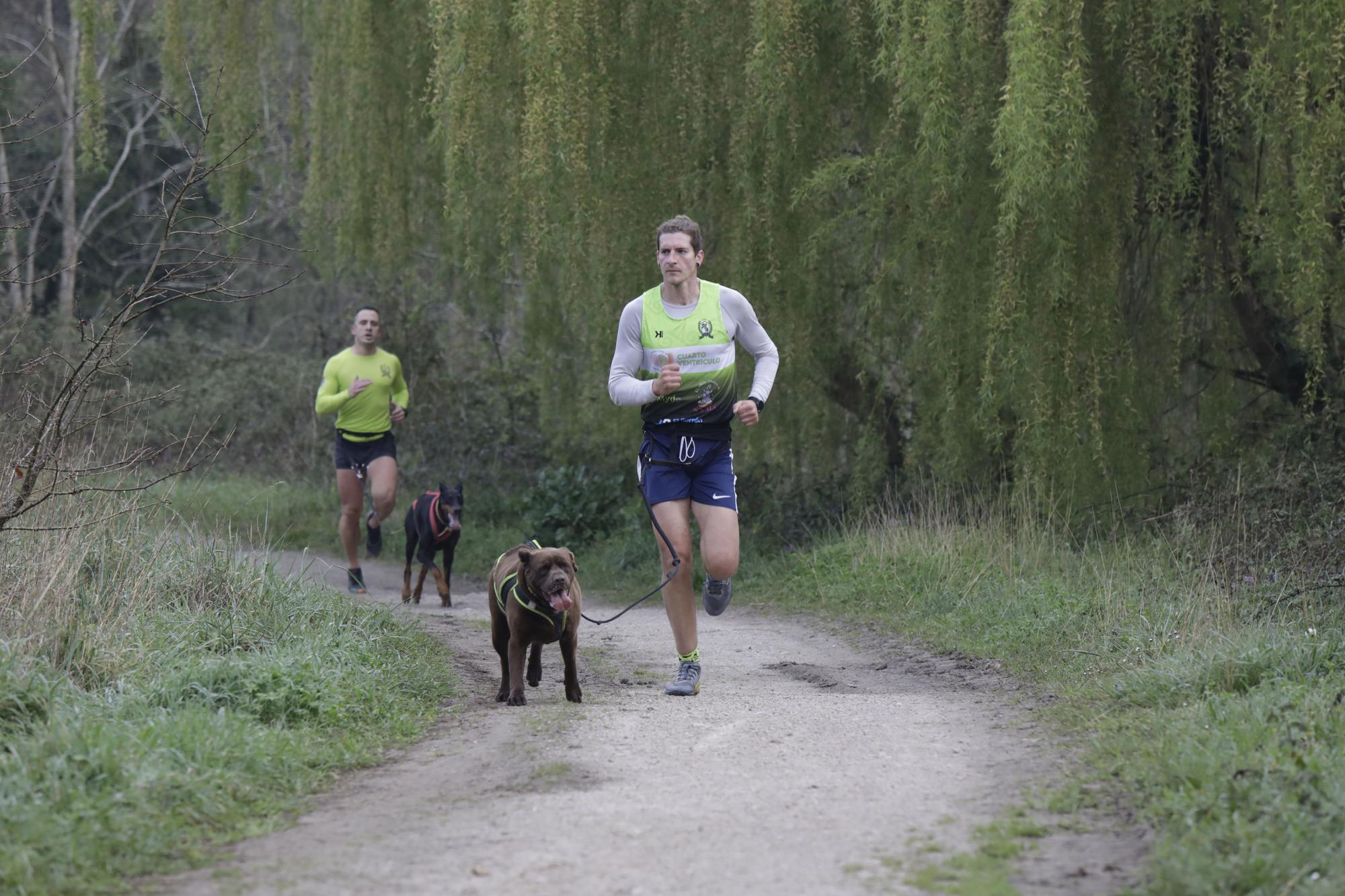 Los corredores del Celtastur de Llanera y sus perros preparan el Mundial en La Morgal: cuatro de sus integrantes estarán en la cita de Plédran (Francia)